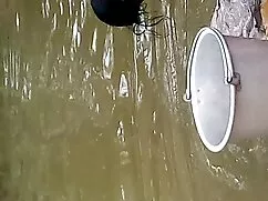 Cô gái tóc vàng khoa ...