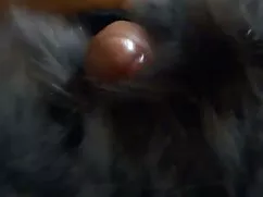 Julia với cô lào sex ...