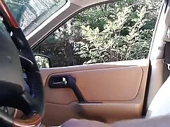 Nô lệ, đánh đòn tra  ...